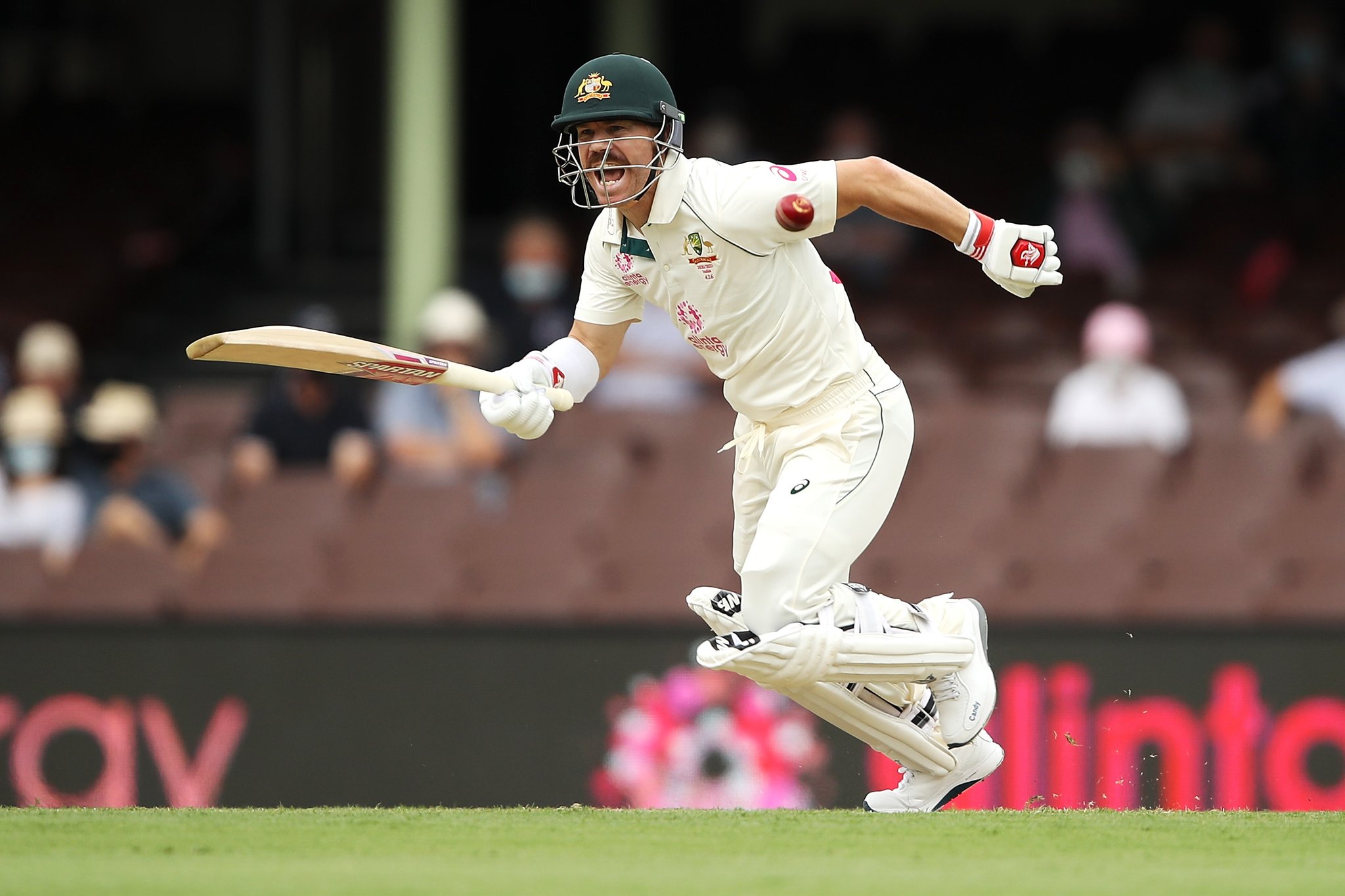 Warner got out cheaply on a flat wicket at the SCG