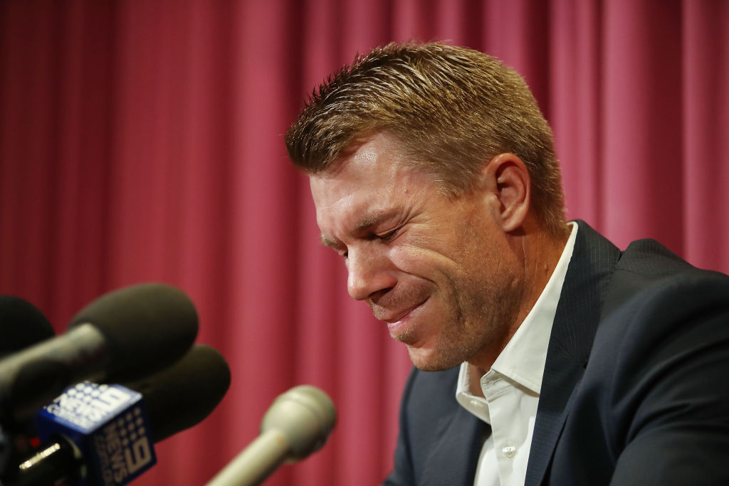 David Warner decides not to appeal against Cricket Australia sanctions